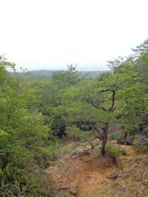 継鹿尾山の岩場。ここは手すりがあるので安全